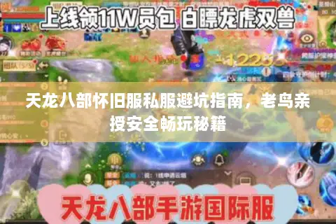 天龙八部怀旧服私服避坑指南，老鸟亲授安全畅玩秘籍