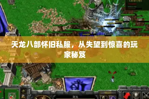 天龙八部怀旧私服,从失望到惊喜的玩家秘笈 天龙八部怀旧私服,从失望到惊喜的玩家秘笈