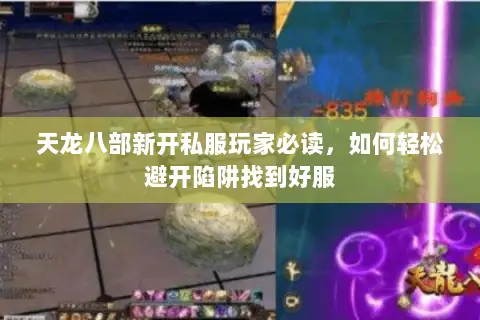 天龙八部新开私服玩家必读，如何轻松避开陷阱找到好服