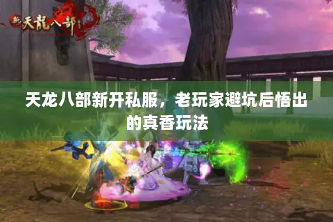 天龙八部新开私服，老玩家避坑后悟出的真香玩法
