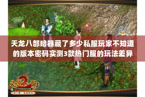 天龙八部暗器藏了多少私服玩家不知道的版本密码实测3款热门服的玩法差异 天龙八部暗器藏了多少私服玩家不知道的版本密码实测3款热门服的玩法差异