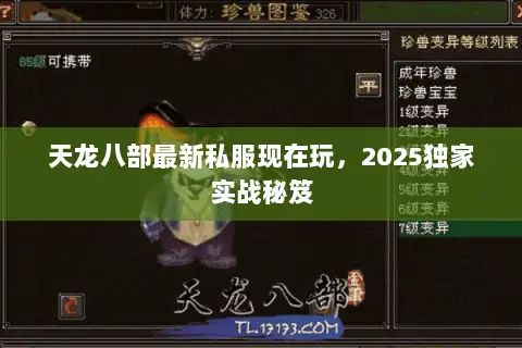 天龙八部最新私服现在玩，2025独家实战秘笈