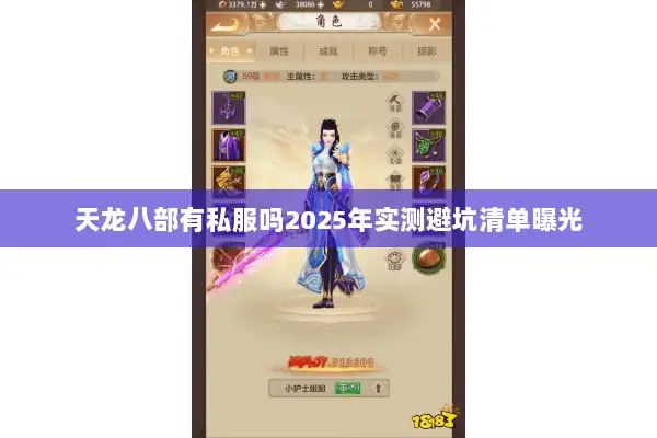 天龙八部有私服吗2025年实测避坑清单曝光