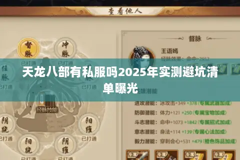 天龙八部有私服吗2025年实测避坑清单曝光