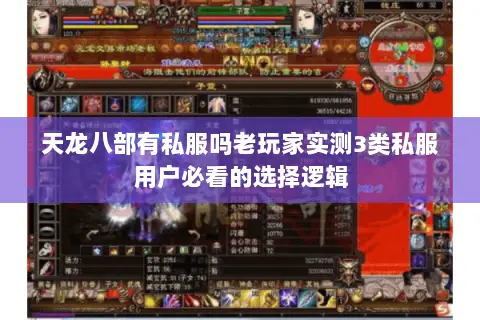 天龙八部有私服吗老玩家实测3类私服用户必看的选择逻辑