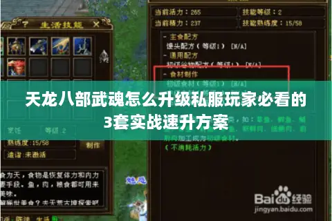 天龙八部武魂怎么升级私服玩家必看的3套实战速升方案 天龙八部武魂怎么升级私服玩家必看的3套实战速升方案