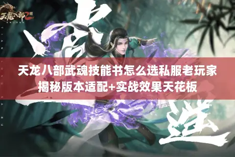 天龙八部武魂技能书怎么选私服老玩家揭秘版本适配+实战效果天花板 天龙八部武魂技能书怎么选私服老玩家揭秘版本适配+实战效果天花板