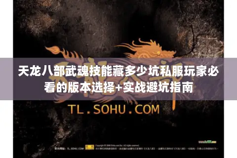 天龙八部武魂技能藏多少坑私服玩家必看的版本选择+实战避坑指南 天龙八部武魂技能藏多少坑私服玩家必看的版本选择+实战避坑指南
