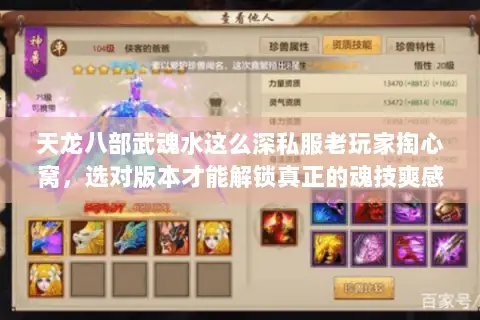 天龙八部武魂水这么深私服老玩家掏心窝,选对版本才能解锁真正的魂技爽感 天龙八部武魂水这么深私服老玩家掏心窝,选对版本才能解锁真正的魂技爽感
