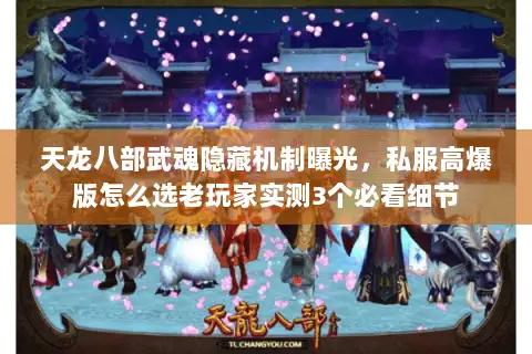 天龙八部武魂隐藏机制曝光,私服高爆版怎么选老玩家实测3个必看细节 天龙八部武魂隐藏机制曝光,私服高爆版怎么选老玩家实测3个必看细节