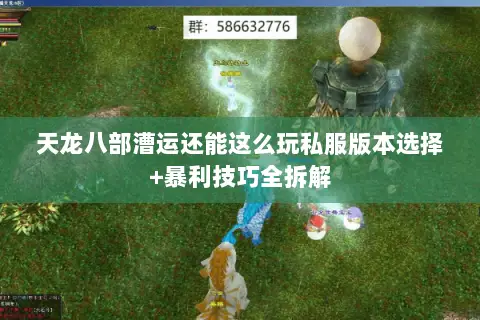 天龙八部漕运还能这么玩私服版本选择+暴利技巧全拆解
