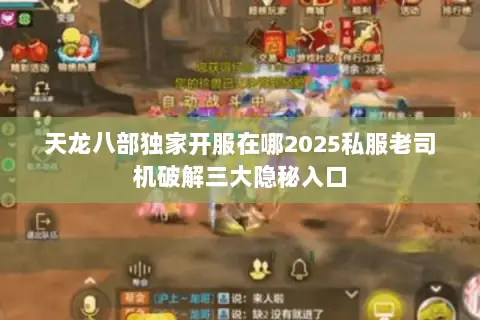 天龙八部独家开服在哪2025私服老司机破解三大隐秘入口 天龙八部独家开服在哪2025私服老司机破解三大隐秘入口