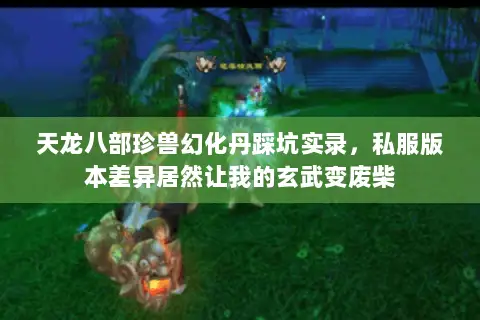 天龙八部珍兽幻化丹踩坑实录,私服版本差异居然让我的玄武变废柴 天龙八部珍兽幻化丹踩坑实录,私服版本差异居然让我的玄武变废柴