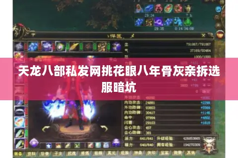 天龙八部私发网挑花眼八年骨灰亲拆选服暗坑