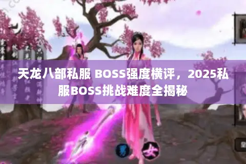 天龙八部私服 BOSS强度横评,2025私服BOSS挑战难度全揭秘 天龙八部私服 BOSS强度横评,2025私服BOSS挑战难度全揭秘