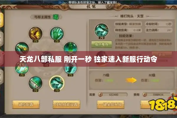 天龙八部私服 刚开一秒 独家速入新服行动令 天龙八部私服 刚开一秒 独家速入新服行动令