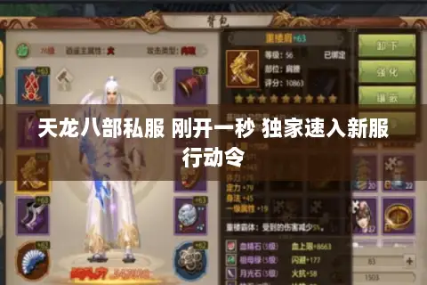 天龙八部私服 刚开一秒 独家速入新服行动令 天龙八部私服 刚开一秒 独家速入新服行动令
