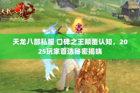 天龙八部私服 口碑之王颠覆认知，2025玩家首选秘密揭晓