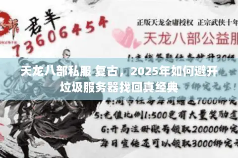 天龙八部私服 复古，2025年如何避开垃圾服务器找回真经典