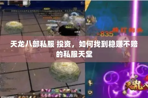 天龙八部私服 投资,如何找到稳赚不赔的私服天堂 天龙八部私服 投资,如何找到稳赚不赔的私服天堂