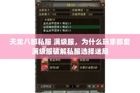 天龙八部私服 满级服，为什么玩家都爱满级服破解私服选择迷局