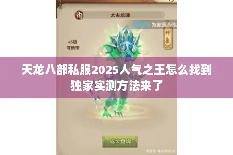 天龙八部私服2025人气之王怎么找到独家实测方法来了 天龙八部私服2025人气之王怎么找到独家实测方法来了