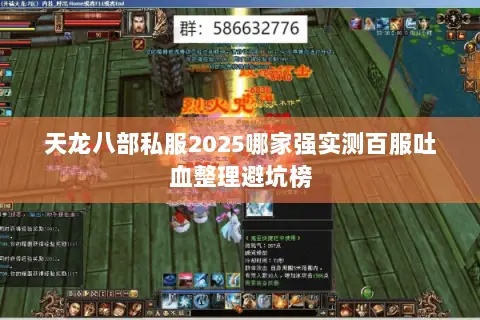 天龙八部私服2025哪家强实测百服吐血整理避坑榜 天龙八部私服2025哪家强实测百服吐血整理避坑榜