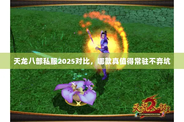 天龙八部私服2025对比，哪款真值得常驻不弃坑