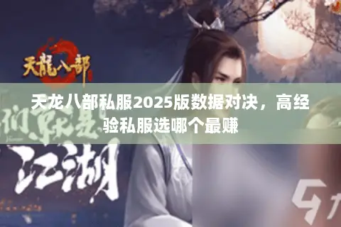 天龙八部私服2025版数据对决，高经验私服选哪个最赚