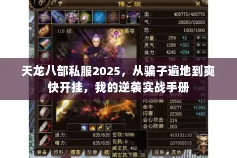 天龙八部私服2025，从骗子遍地到爽快开挂，我的逆袭实战手册