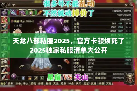 天龙八部私服2025,官方卡顿烦死了2025独家私服清单大公开 天龙八部私服2025,官方卡顿烦死了2025独家私服清单大公开