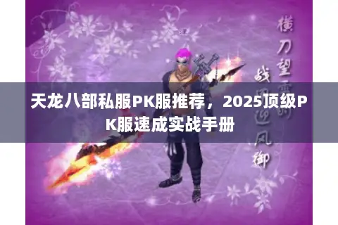 天龙八部私服PK服推荐，2025顶级PK服速成实战手册