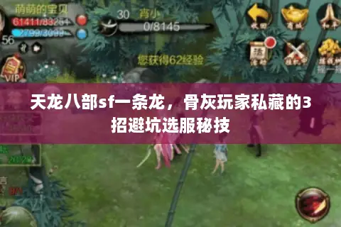 天龙八部sf一条龙，骨灰玩家私藏的3招避坑选服秘技