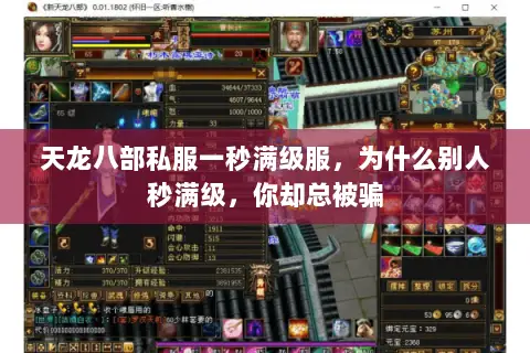 天龙八部私服一秒满级服，为什么别人秒满级，你却总被骗