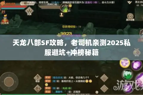 天龙八部SF攻略,老司机亲测2025私服避坑+冲榜秘籍 天龙八部SF攻略,老司机亲测2025私服避坑+冲榜秘籍
