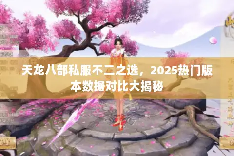 天龙八部私服不二之选,2025热门版本数据对比大揭秘 天龙八部私服不二之选,2025热门版本数据对比大揭秘