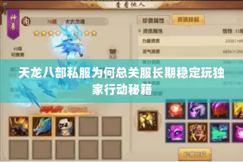 天龙八部私服为何总关服长期稳定玩独家行动秘籍 天龙八部私服为何总关服长期稳定玩独家行动秘籍