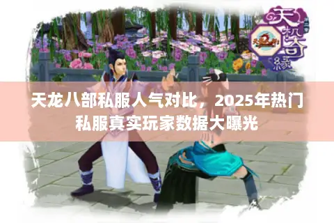天龙八部私服人气对比,2025年热门私服真实玩家数据大曝光 天龙八部私服人气对比,2025年热门私服真实玩家数据大曝光