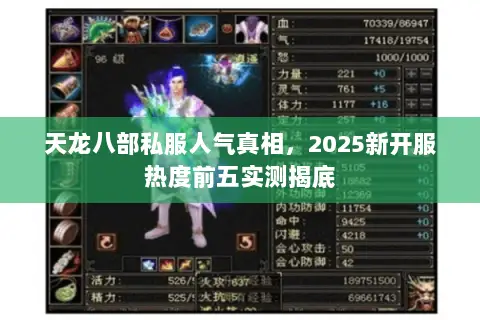 天龙八部私服人气真相,2025新开服热度前五实测揭底 天龙八部私服人气真相,2025新开服热度前五实测揭底