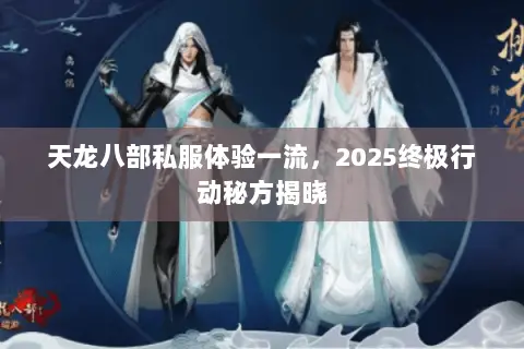 天龙八部私服体验一流，2025终极行动秘方揭晓