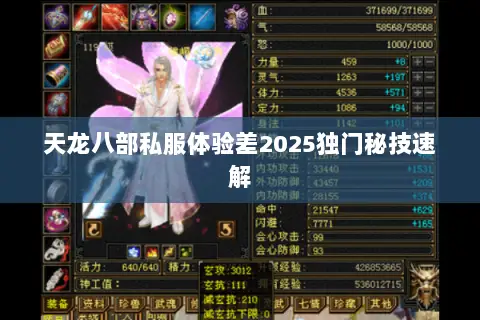 天龙八部私服体验差2025独门秘技速解 天龙八部私服体验差2025独门秘技速解