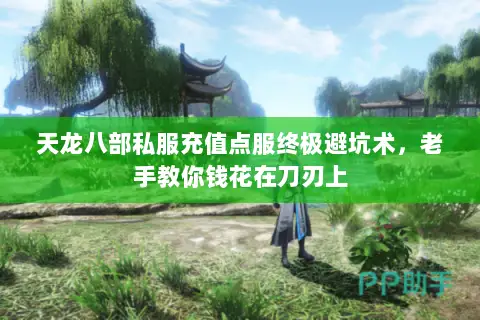天龙八部私服充值点服终极避坑术,老手教你钱花在刀刃上 天龙八部私服充值点服终极避坑术,老手教你钱花在刀刃上