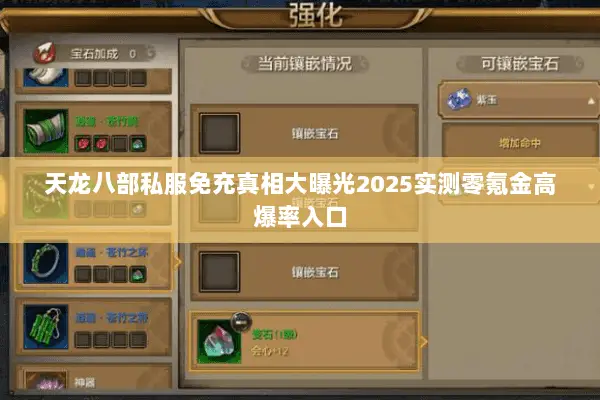 天龙八部私服免充真相大曝光2025实测零氪金高爆率入口 天龙八部私服免充真相大曝光2025实测零氪金高爆率入口