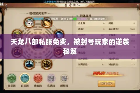 天龙八部私服免费，被封号玩家的逆袭秘笈