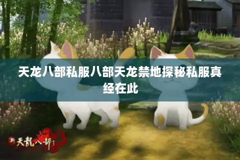 天龙八部私服八部天龙禁地探秘私服真经在此 天龙八部私服八部天龙禁地探秘私服真经在此