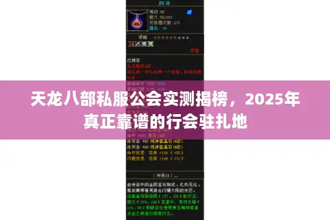 天龙八部私服公会实测揭榜,2025年真正靠谱的行会驻扎地 天龙八部私服公会实测揭榜,2025年真正靠谱的行会驻扎地