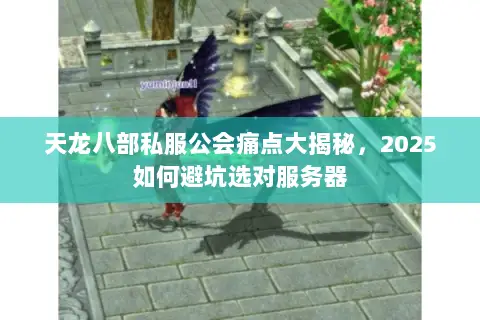 天龙八部私服公会痛点大揭秘,2025如何避坑选对服务器 天龙八部私服公会痛点大揭秘,2025如何避坑选对服务器
