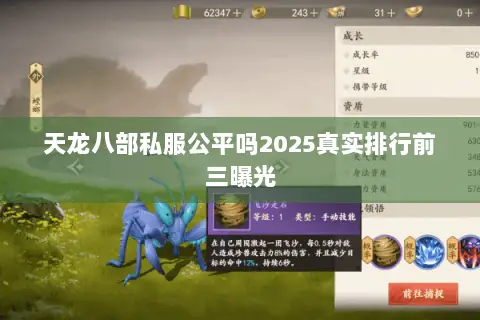 天龙八部私服公平吗2025真实排行前三曝光 天龙八部私服公平吗2025真实排行前三曝光