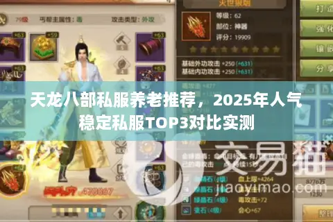 天龙八部私服养老推荐,2025年人气稳定私服TOP3对比实测 天龙八部私服养老推荐,2025年人气稳定私服TOP3对比实测