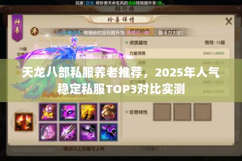 天龙八部私服养老推荐,2025年人气稳定私服TOP3对比实测 天龙八部私服养老推荐,2025年人气稳定私服TOP3对比实测